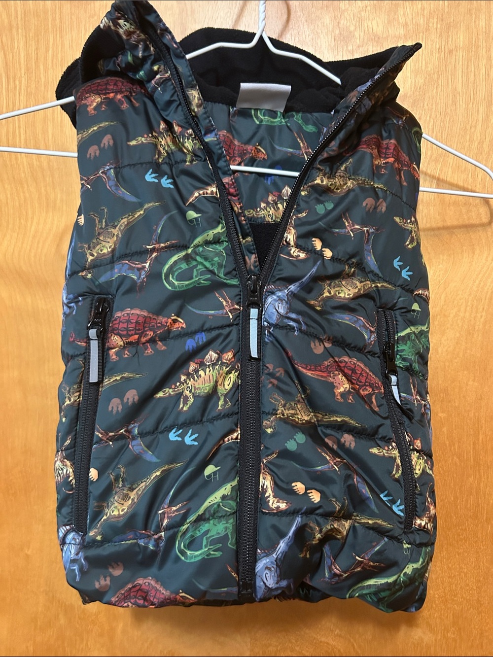 Kids Dinosaur Puffer Vest - Black with Multicolor Dino Print